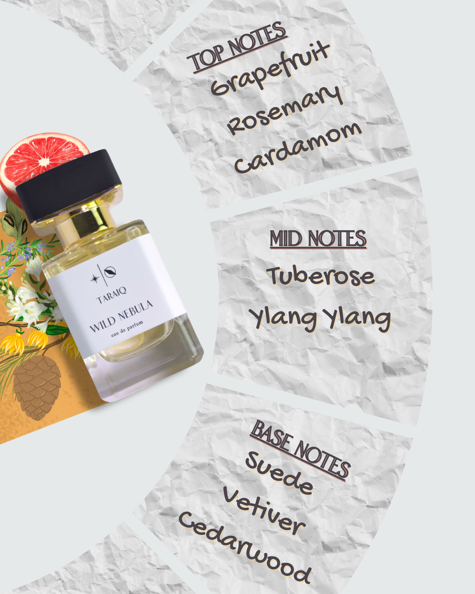 Wild Nebula - Image 2